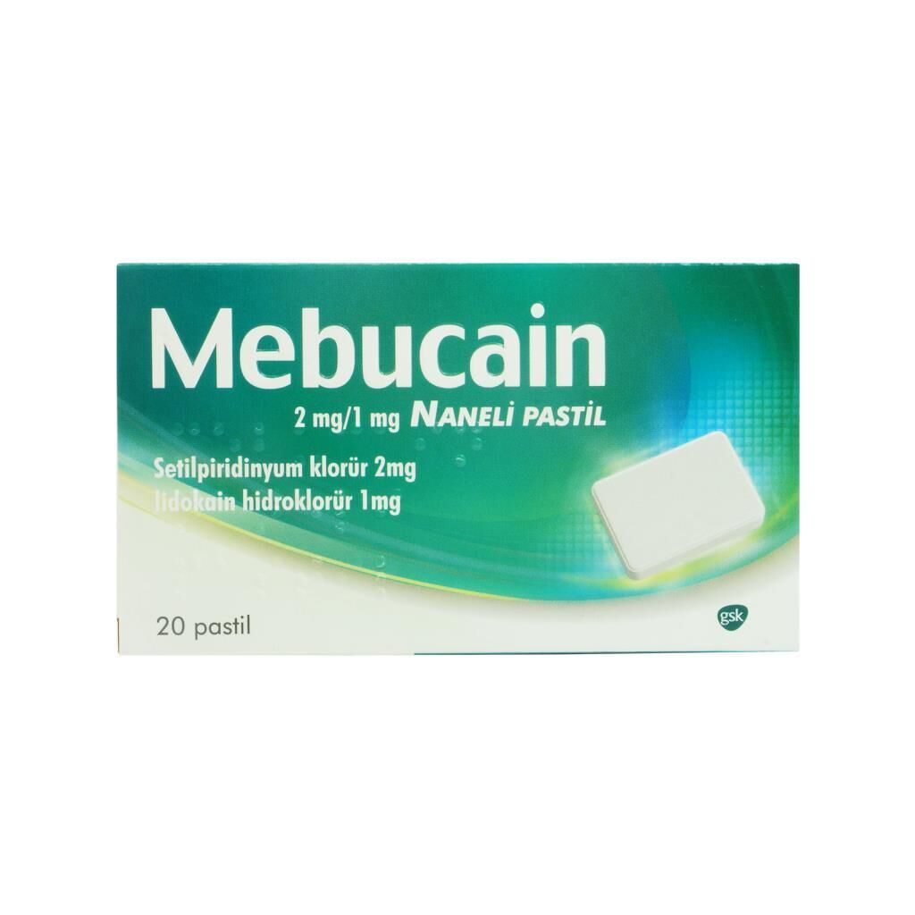 Mebucain Naneli Pastil 20 Adet
